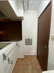 The Rivervale (D19), Condominium #503746941